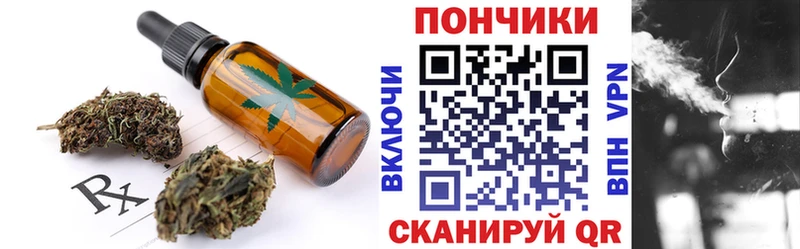 Купить закладки  Жиздра  Canna-Cookies конопля 