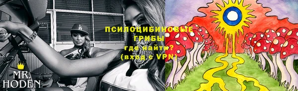 PSILOCYBIN Липки