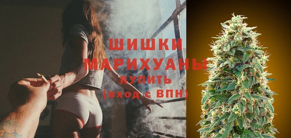 PSILOCYBIN Липки