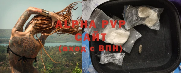 PSILOCYBIN Липки