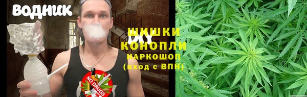 винт Лиски