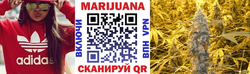 Купить закладки  Жиздра  Бошки Шишки планчик 